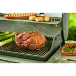 7211 sonda weber igrill 05 1