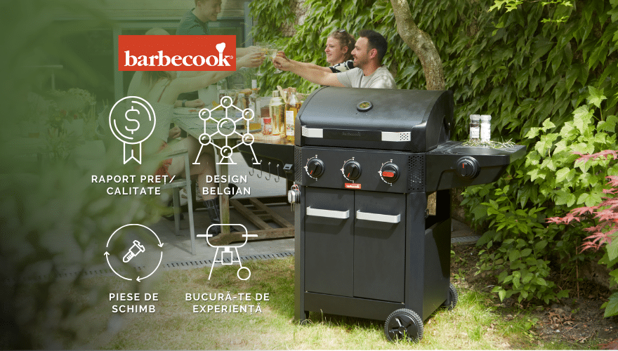 Grătar Gaz Barbecook Grill Expert