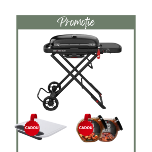 Grătar gaz Traveler Stealth, Weber