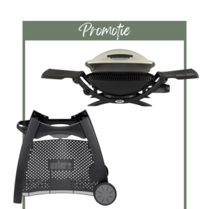 PROMO Grătar gaz Q2000, Weber